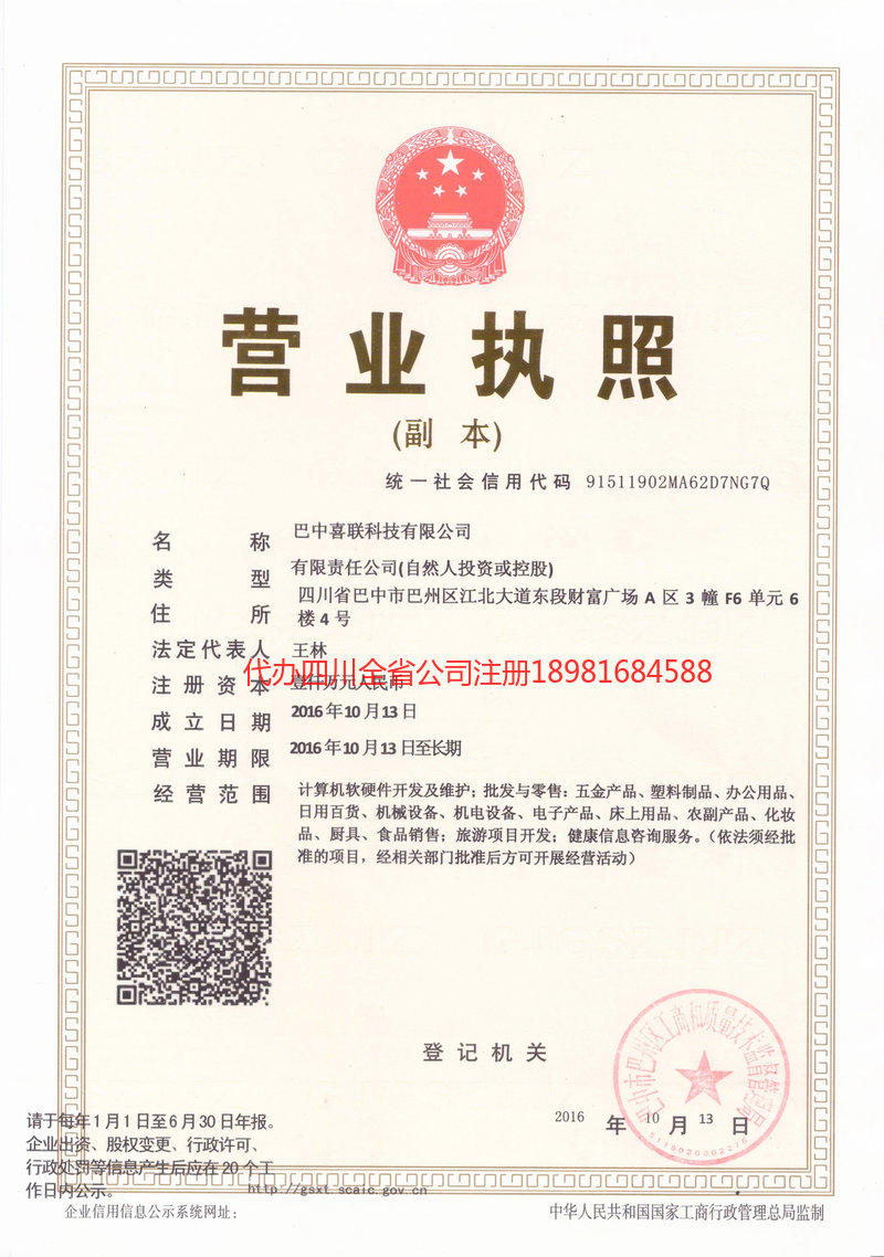 天津天津喜联科技有限公司