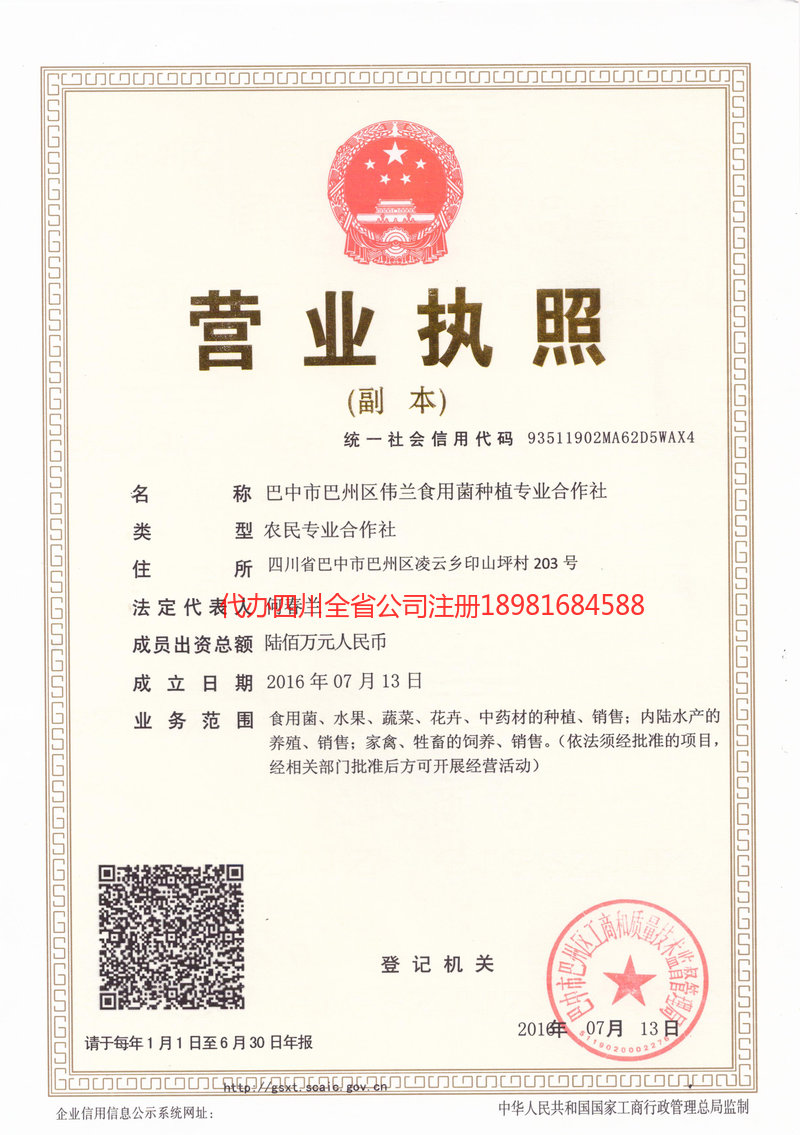 天津天津伟兰食用菌种植专业合作社